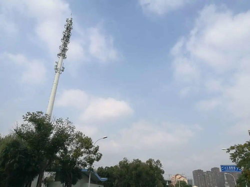 云在青天水波平——北大街街道污染防治百日攻堅(jiān)專(zhuān)項(xiàng)行動(dòng)掠影